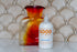 Honey•B5 UNSCENTED Lotion ~ 16 oz.