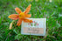 THE LILY GARDEN 5 oz. ~ FARM TO TABLE SOAP SLICE