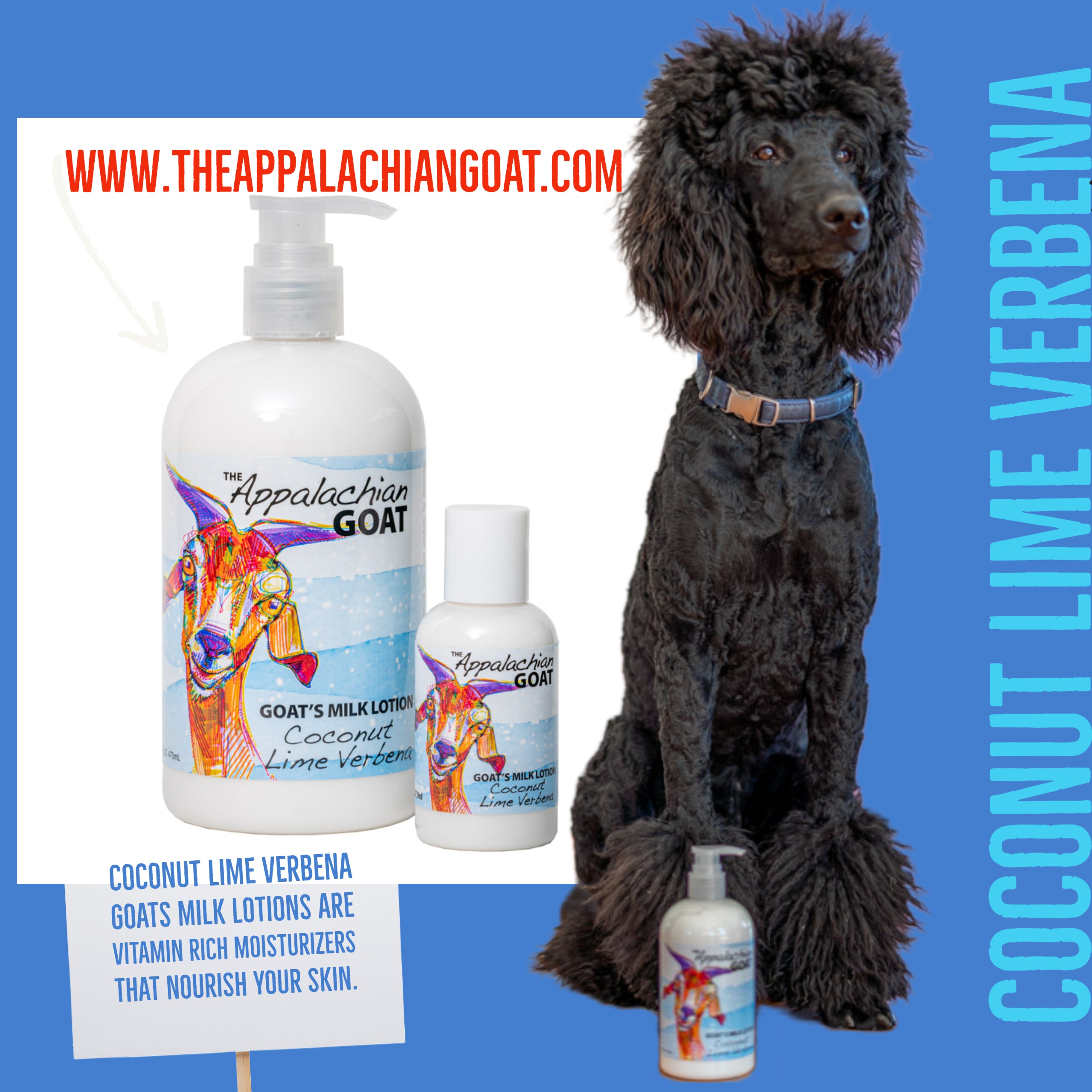 COCONUT LIME VERBENA GOATS MILK LOTION