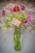 TURMERiC + Rose WATeR FACE & BODY SOAP  5 oz.