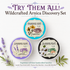 The Power of Plants Collection : Wildcrafted Arnica Herbal Salve Discovery Set